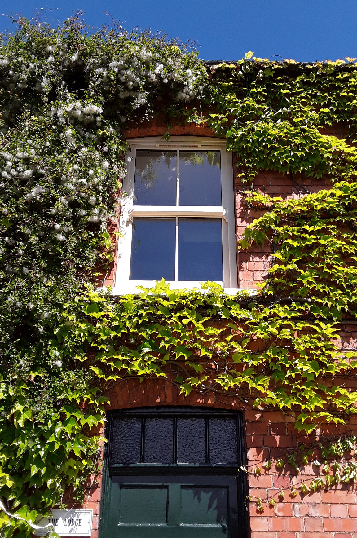 Sliding Sash Window Prices Lincoln