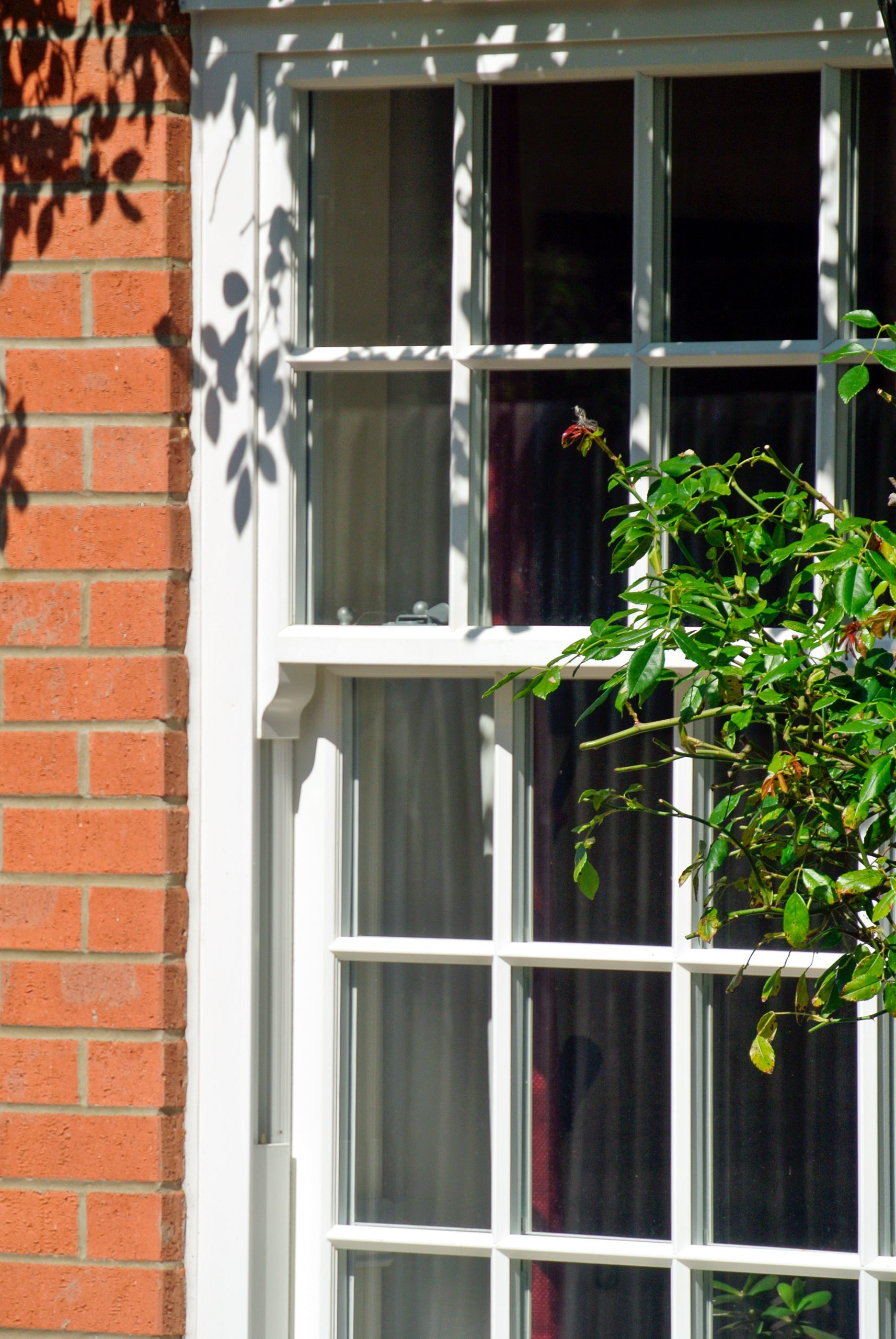 uPVC Sash Windows for Modern Georgian Style Family Home